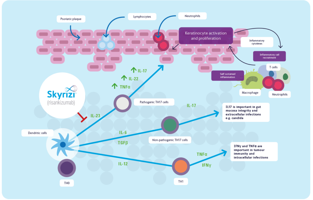 European, Commission, Approval, AbbVie, Skyrizi, Risankizumab ...