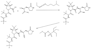 Pfizer, Allow, Generic, Versions, Covid19, pill, 95countries, Generic, Manufactur, Paxlovid, India, drugmaker, LowerMiddleIncome, Countries, Hospitalization, Clinical, Trial,