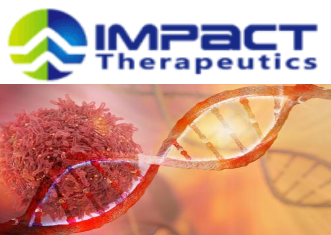 IMPACT, Therapeutics, Announced, ATR, Inhibitor, Imp9064, IND, Clearance, FDA, DNA, Damage, Signaling, Kinase, Biopharmaceutical, Company, Discovery, Development, AntiCancer
