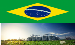 Ministry, Agriculture, Livestock, Supply, Publishes, Proposal, Ordinance, Registration, Processes, Pesticides, Brazil.