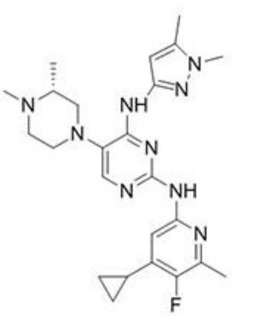 USFDA  , Orphan Drug Designation , Zydus ,  ZY19489 , Antimalarial,  Compound. Industry, Chemical, Market , Pharma 