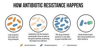 antibiotic-resistant bacterial infections
