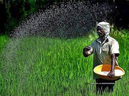 India, Market, Fertilizer , Benefit , Ayurveda , Agrochemical , Agricultural, Industry, Chemical 