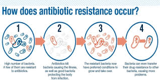 An estimated 1.2 million people died in 2019 from antibiotic-resistant ...