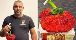Israeli Man Sets a New Record by Growing World's Heaviest Strawberry
