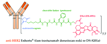 Trastuzumab deruxtecan
