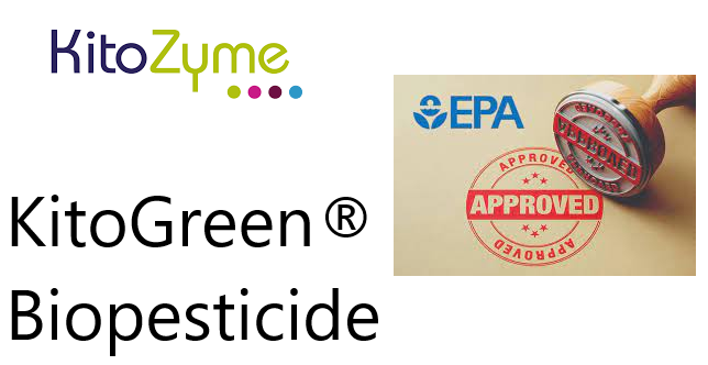KitoGreen, a Biopesticide Developed by KitoZyme, has received EPA Approval.