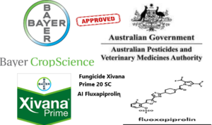 Australia to Approves Bayer's Xivana Prime 20 SC Fungicide containing Fluoxapiproline