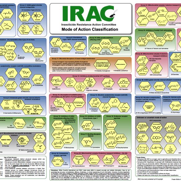 Insecticide Resistance Action Committee_IRAC_IRAC_Poster_2022