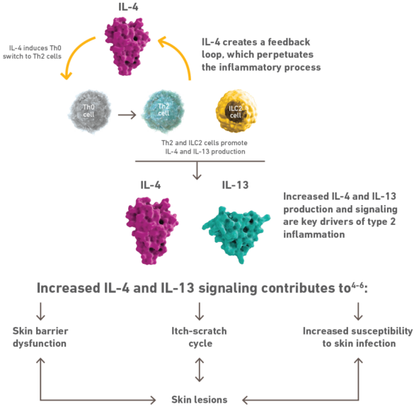 FDA Approves Dupixent®(Dupilumab) As First Biologic Medicine For ...