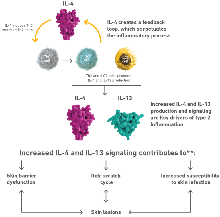 FDA Approves Dupixent®(Dupilumab) as First Biologic Medicine for Children Aged 6 Months to 5