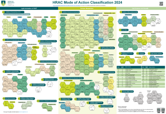 HERBICIDE RESISTANCE ACTION COMMITTEE HRAC 2024 POSTER RELEASED   2024 HRAC GLOBAL HERBICIDE MOA CLASSIFICATION POSTER 585x401 