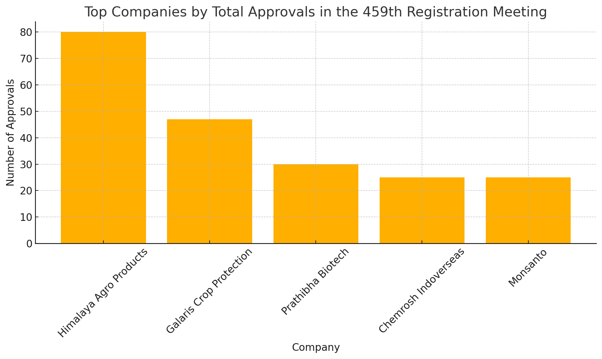 Companies with the Highest Number of Total Approvals